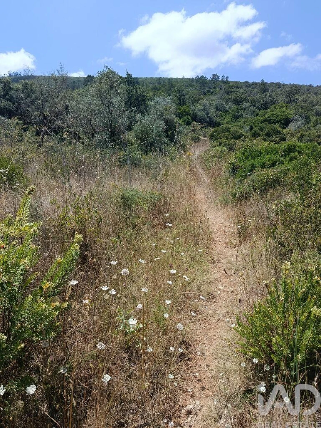 Terreno para Venda em Arrimal e Mendiga Foto 9