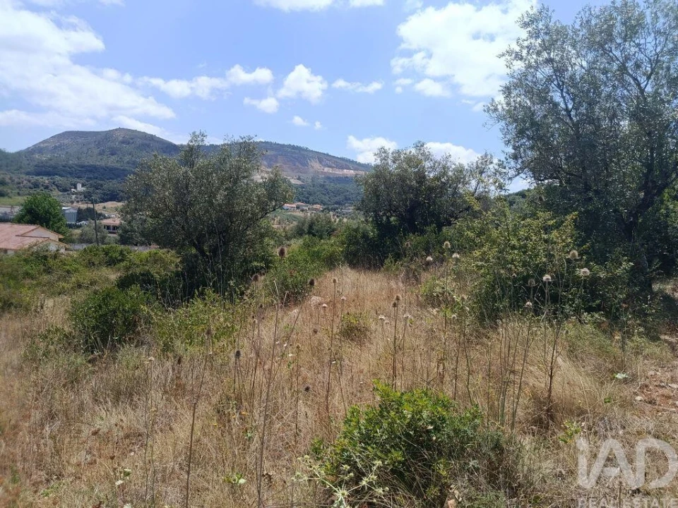 Terreno para Venda em Arrimal e Mendiga Foto 5