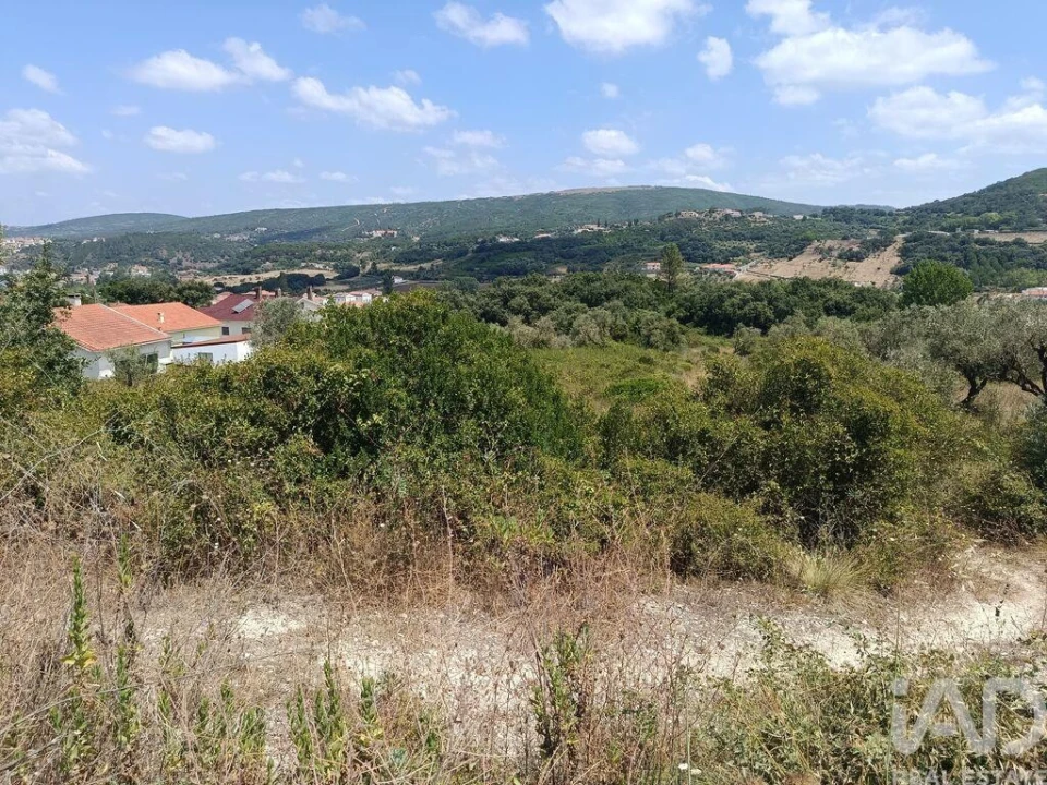 Terreno para Venda em Arrimal e Mendiga Foto 10