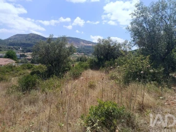 Terreno para Venda em Arrimal e Mendiga