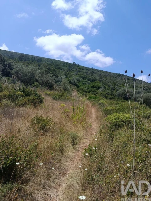 Terreno para Venda em Arrimal e Mendiga