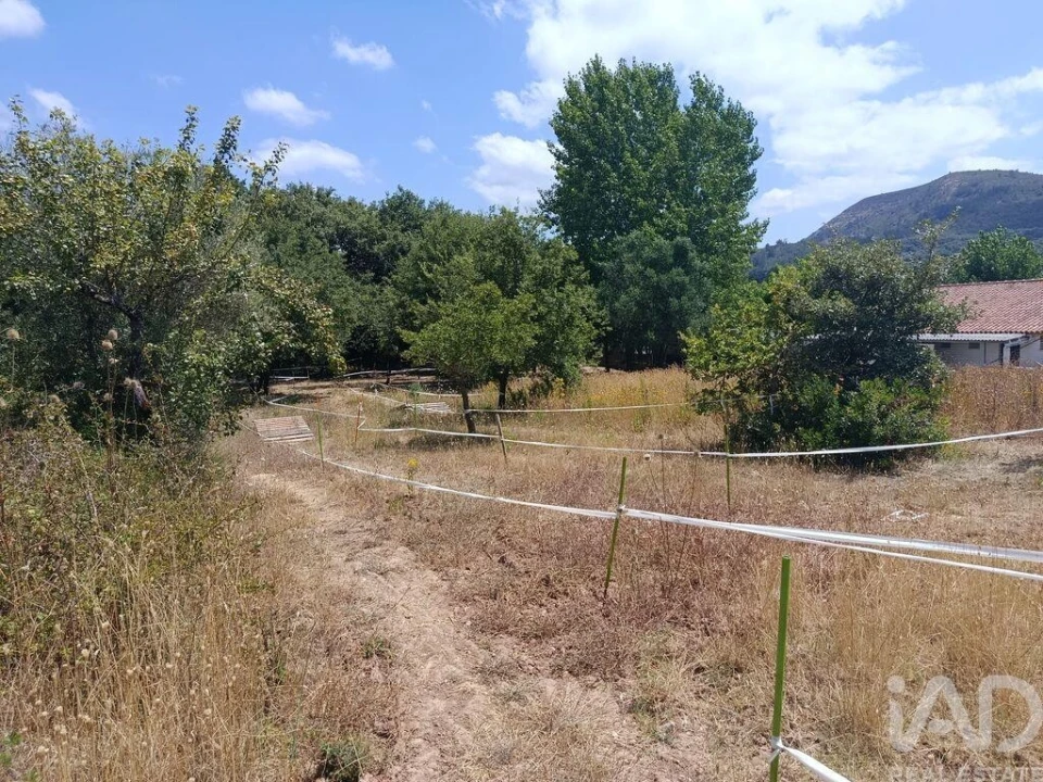 Terreno para Venda em Arrimal e Mendiga Foto 1