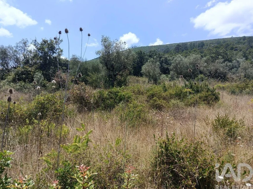 Terreno para Venda em Arrimal e Mendiga Foto 7