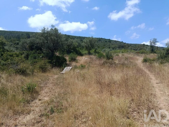 Terreno para Venda em Arrimal e Mendiga Foto 2