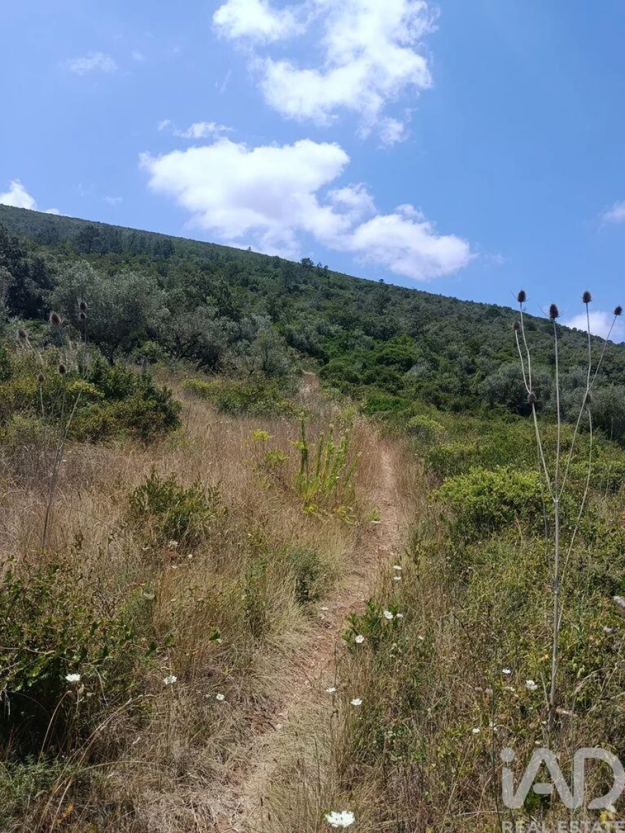 Terreno para Venda em Arrimal e Mendiga Foto 6