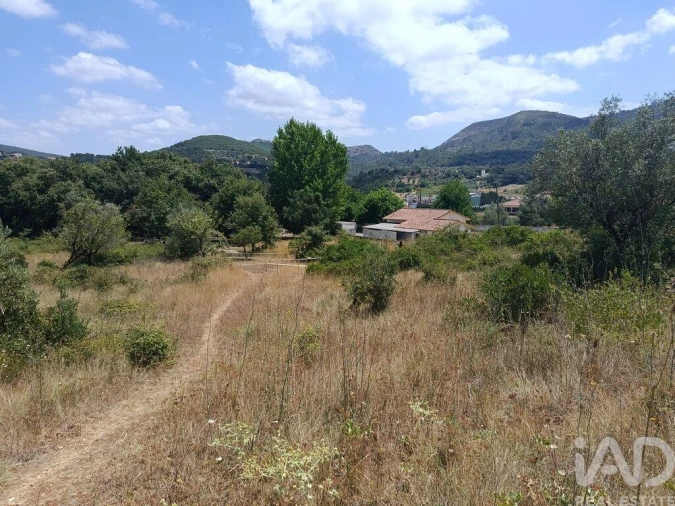 Terreno para Venda em Arrimal e Mendiga Foto 4