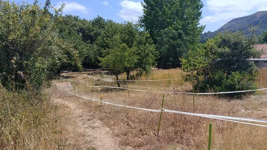 Terreno para Venda em Arrimal e Mendiga