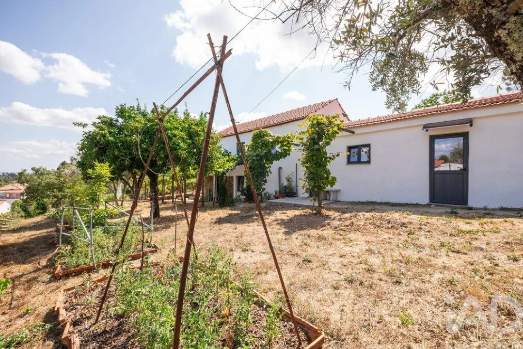 Moradia para Venda em Sertã Foto 26