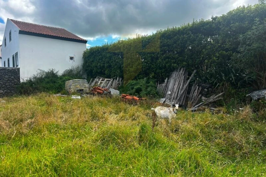 Terreno para Venda em São Bento Foto 20
