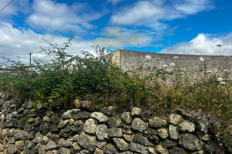 Terreno para Venda em São Bento Foto 13