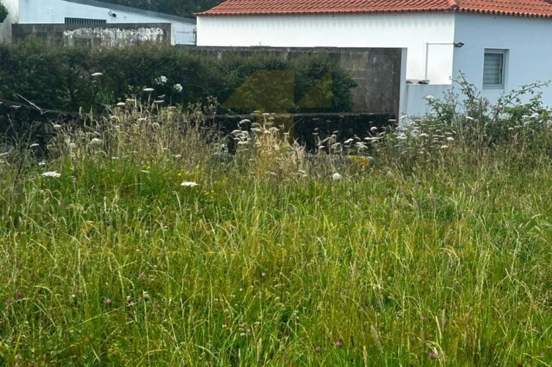 Terreno para Venda em São Bento Foto 15