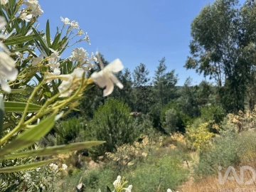 Moradia T3 para Venda em Pedrogão Grande