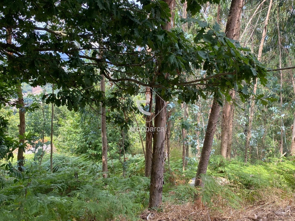 Moradia T2 para Venda em Rio Frio Foto 16