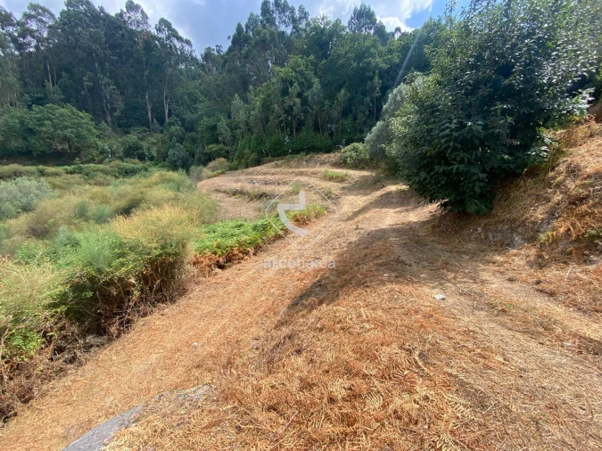 Moradia T2 para Venda em Rio Frio Foto 30