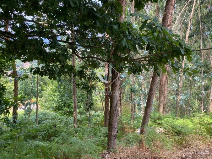 Moradia T2 para Venda em Rio Frio Foto 16