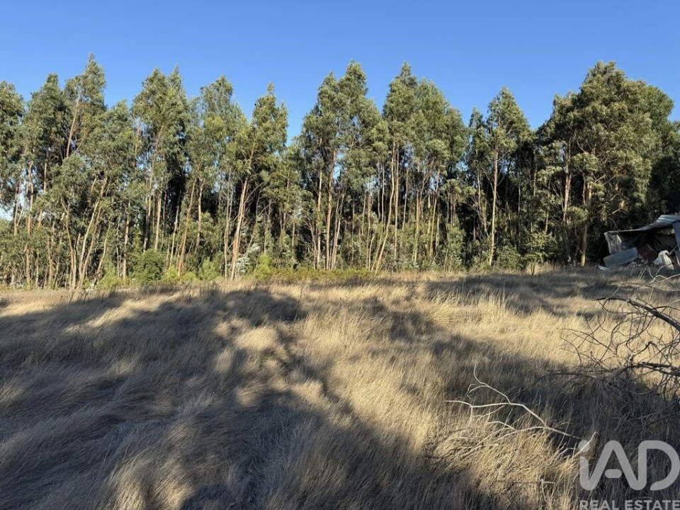 Terreno para Venda em Olhalvo Foto 13