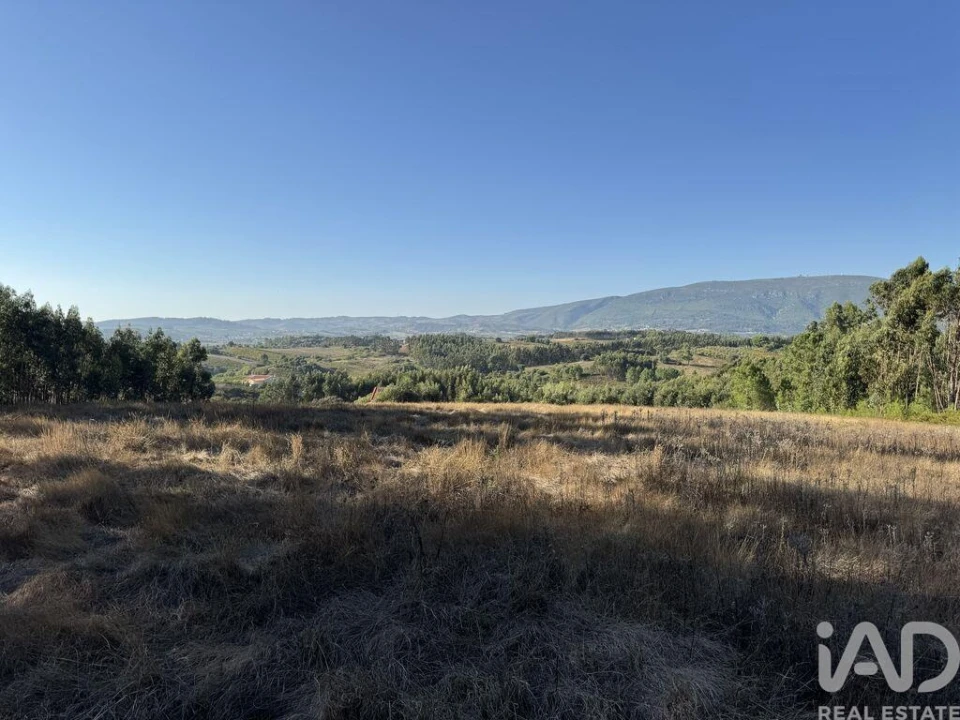 Terreno para Venda em Olhalvo Foto 15