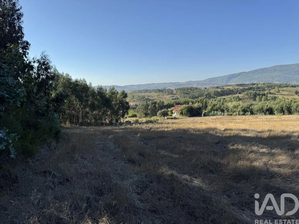 Terreno para Venda em Olhalvo Foto 14
