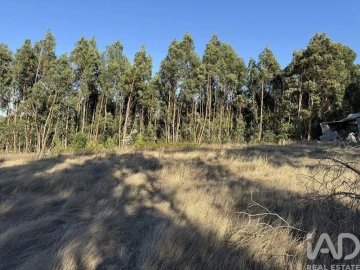 Terreno para Venda em Olhalvo