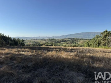Terreno para Venda em Olhalvo