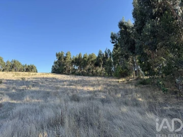 Terreno para Venda em Olhalvo