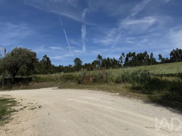 Terreno para Venda em Olhalvo