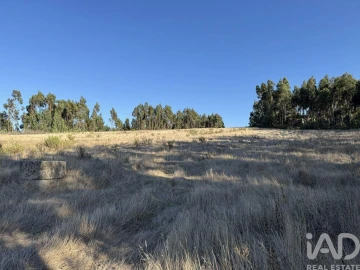 Terreno para Venda em Olhalvo