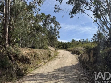 Terreno para Venda em Olhalvo