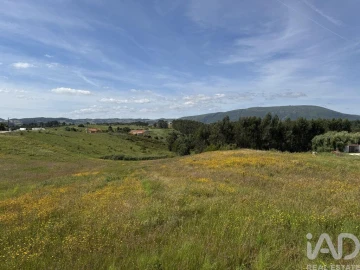 Terreno para Venda em Olhalvo