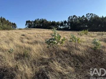 Terreno para Venda em Olhalvo