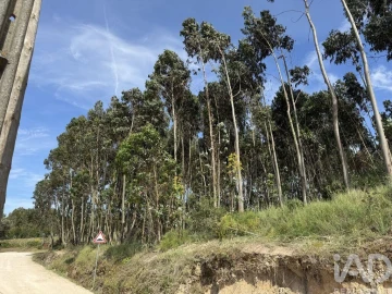 Terreno para Venda em Olhalvo