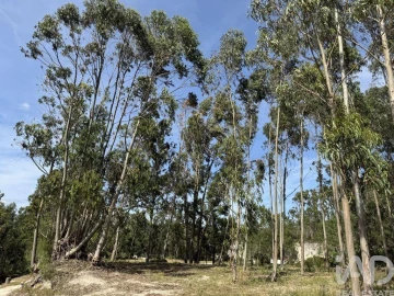 Terreno para Venda em Olhalvo