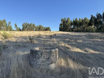 Terreno para Venda em Olhalvo