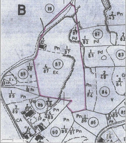 Terreno para Venda em Olhalvo