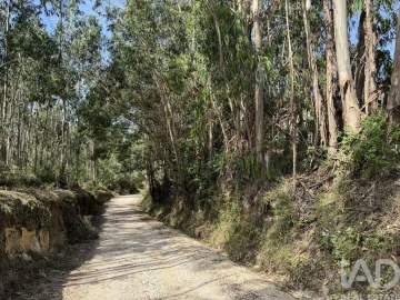 Terreno para Venda em Olhalvo
