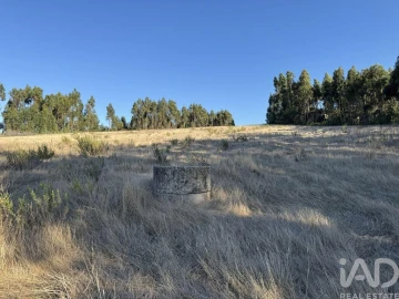 Terreno para Venda em Olhalvo