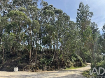 Terreno para Venda em Olhalvo
