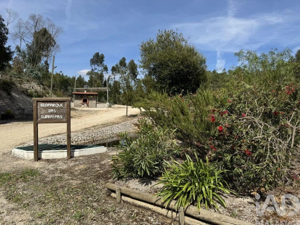 Terreno para Venda em Olhalvo Foto 35