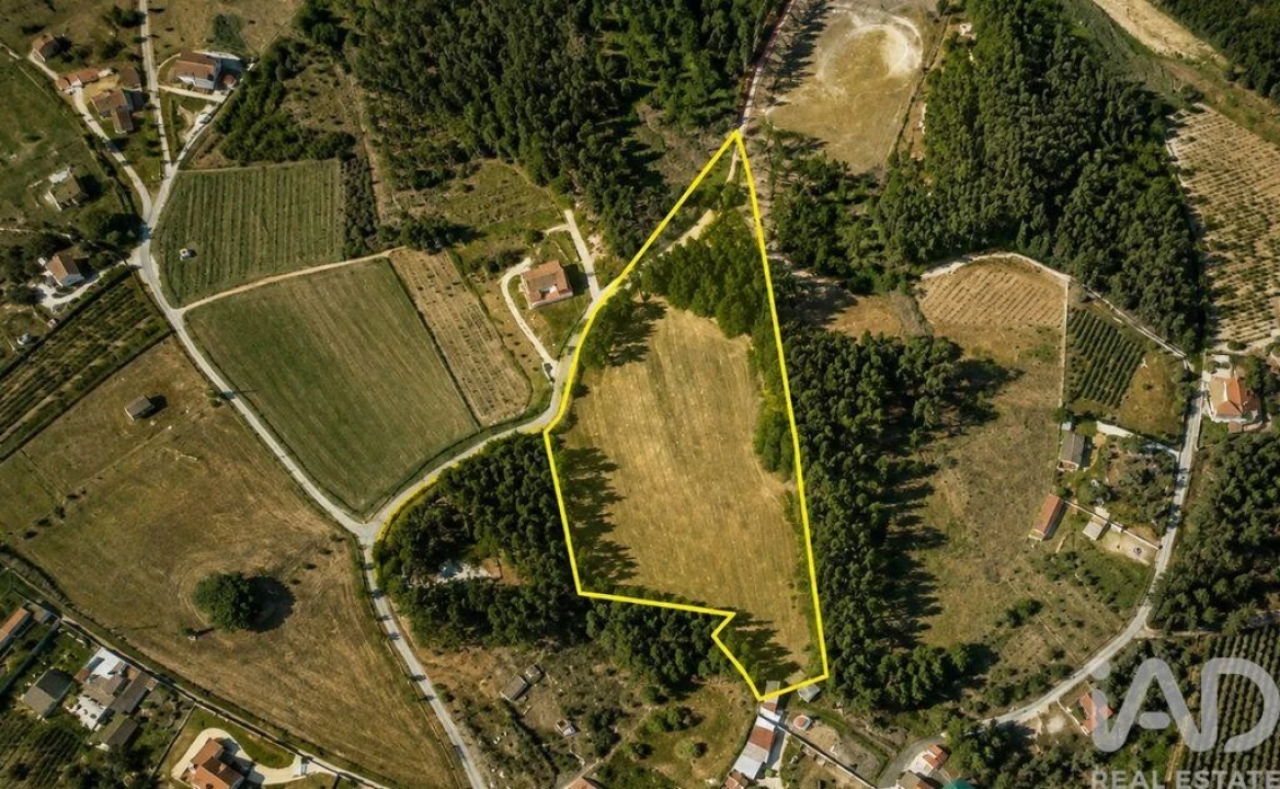Terreno para Venda em Olhalvo Foto 24