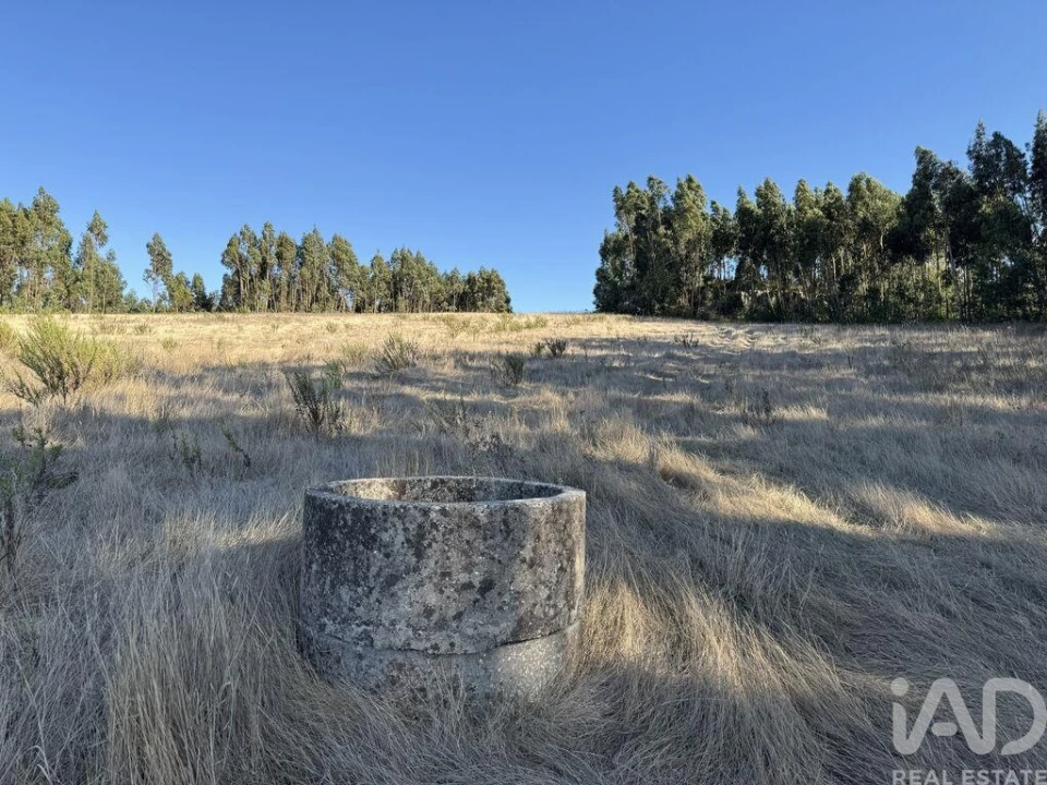 Terreno para Venda em Olhalvo Foto 8