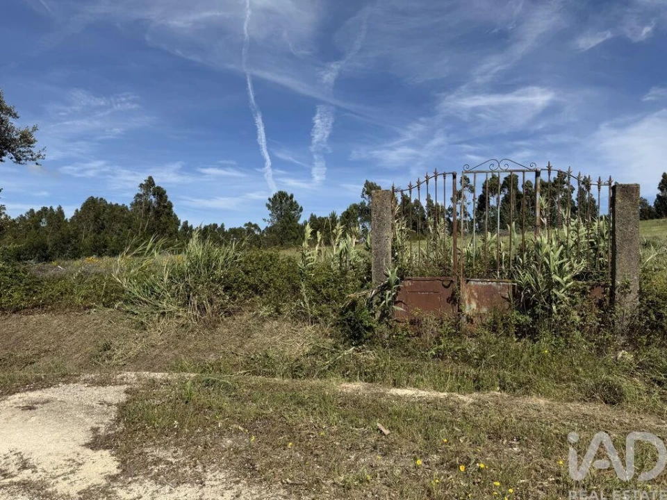 Terreno para Venda em Olhalvo Foto 14
