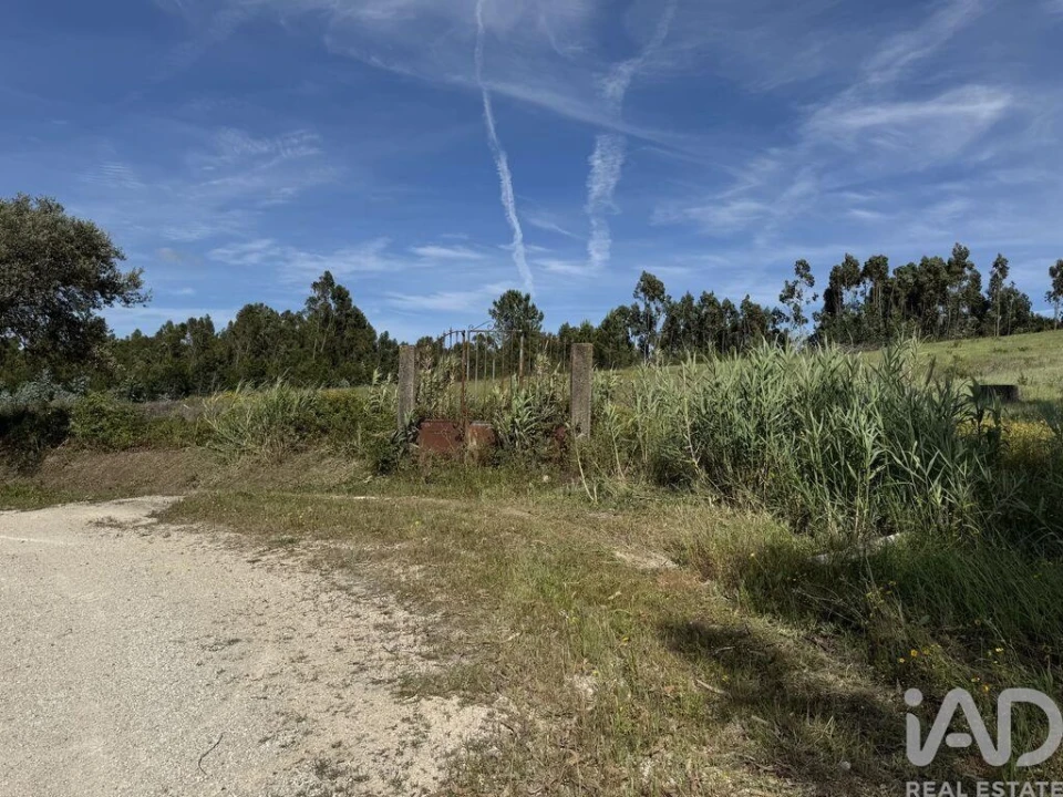 Terreno para Venda em Olhalvo Foto 10