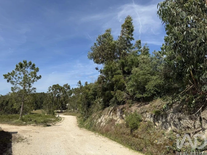Terreno para Venda em Olhalvo Foto 16