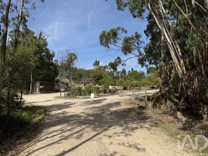 Terreno para Venda em Olhalvo Foto 33