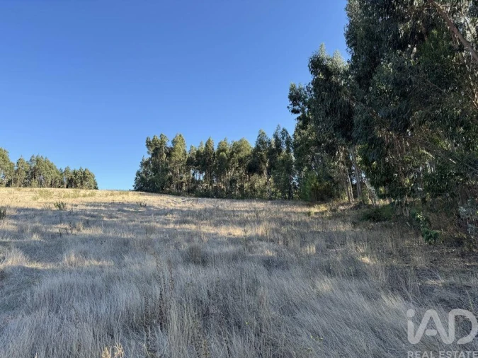 Terreno para Venda em Olhalvo Foto 20
