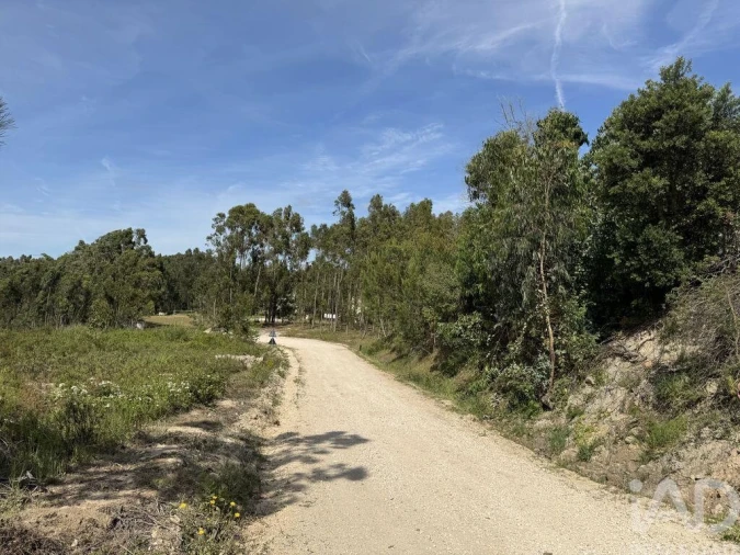 Terreno para Venda em Olhalvo Foto 17