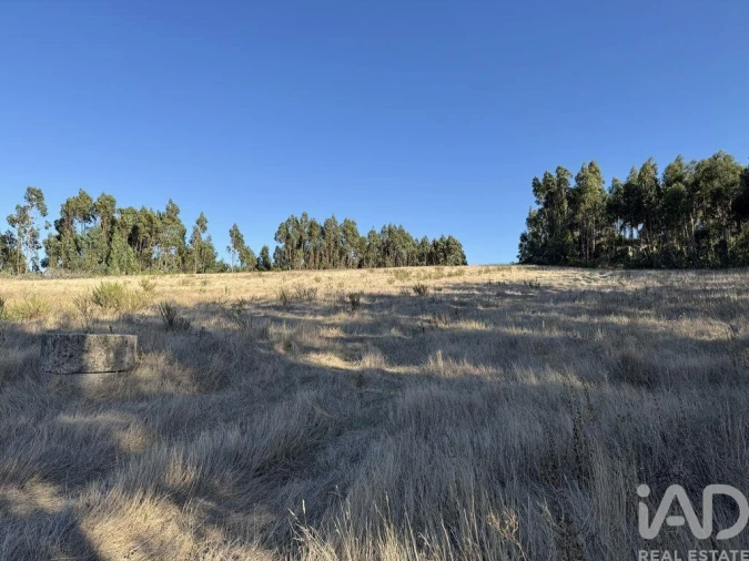 Terreno para Venda em Olhalvo Foto 5