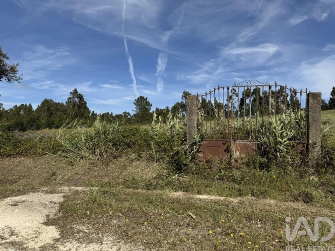 Terreno para Venda em Olhalvo Foto 14