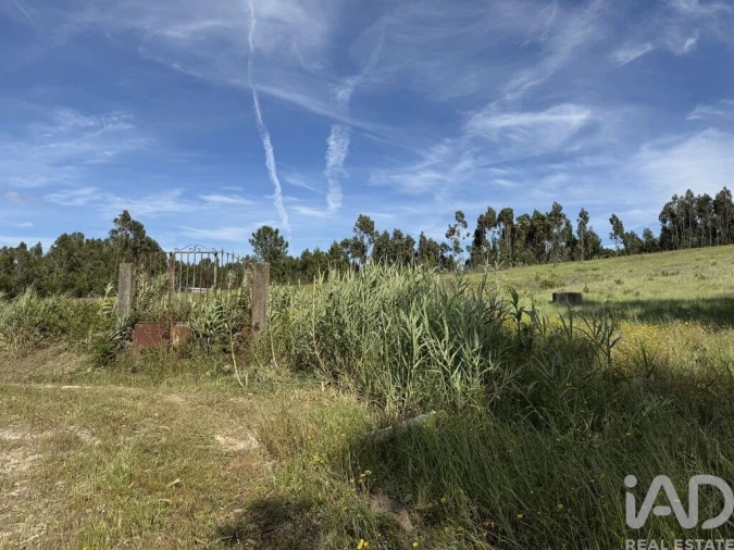 Terreno para Venda em Olhalvo Foto 11