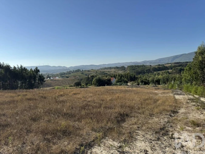 Terreno para Venda em Olhalvo Foto 16